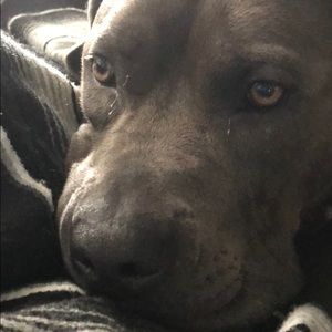 Meet your Posher, Jennni